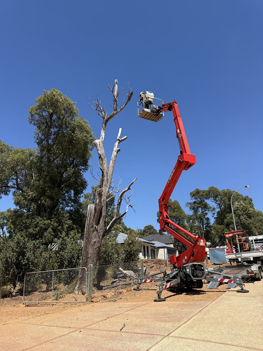 Tree lopping work on a Perth Hills property