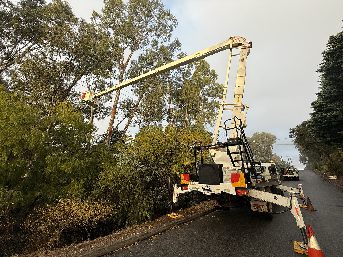 Storm-damaged tree cleanup on a Perth Hills property