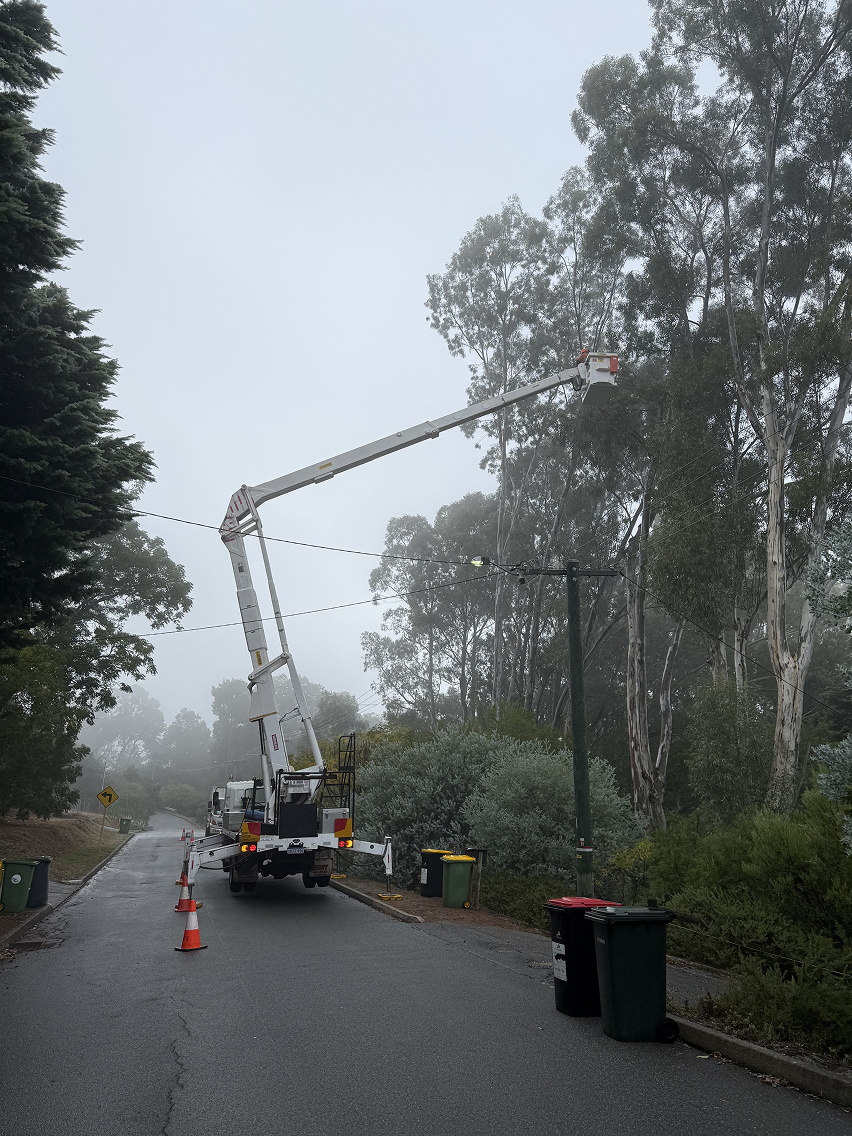 Arborist equipment near Roleystone Western Australia
