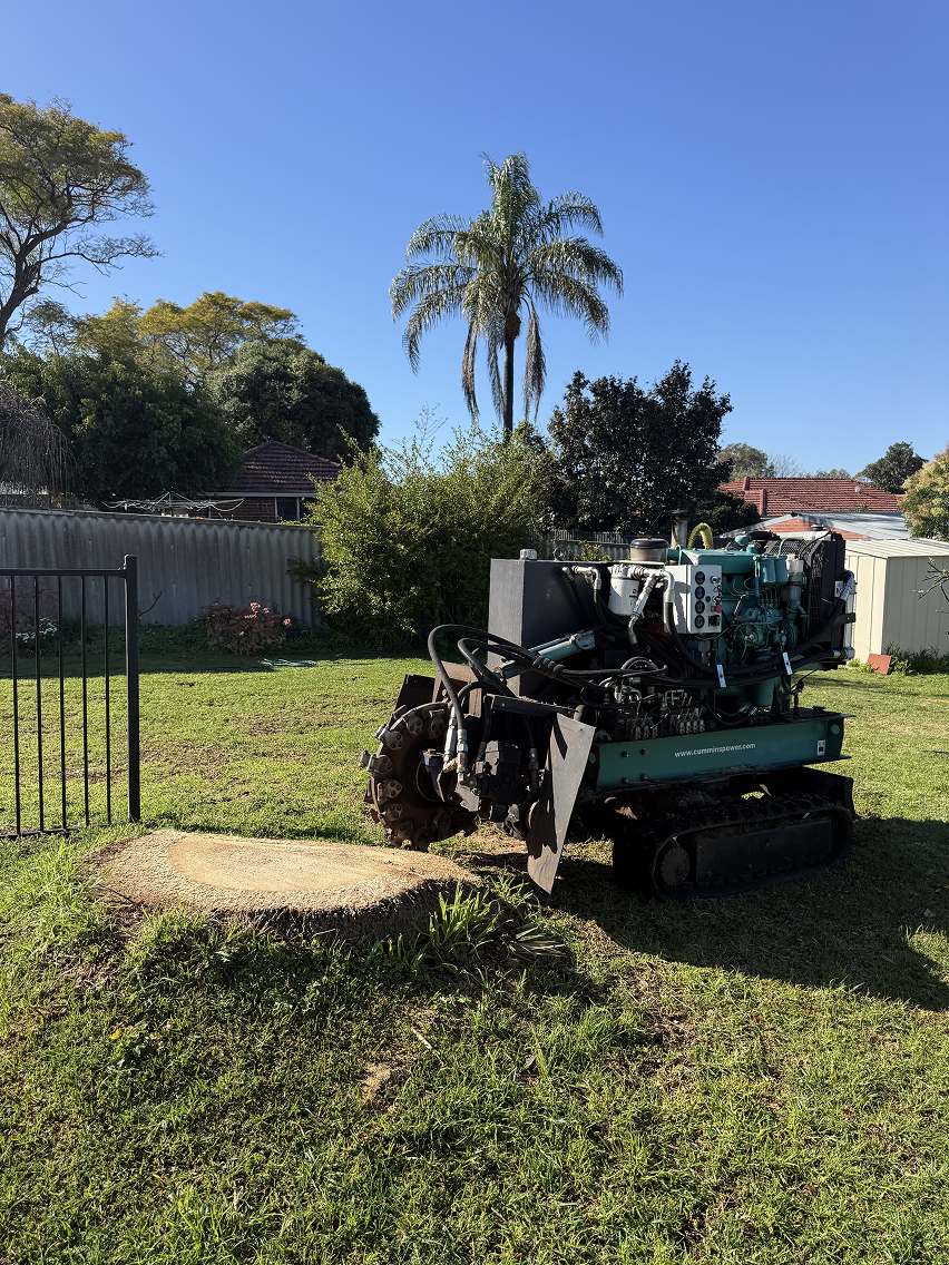 Stump grinding on a Perth Hills property