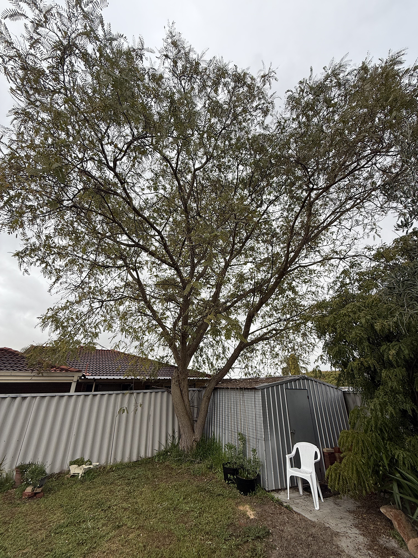 Arborist equipment near Perth Hills Western Australia