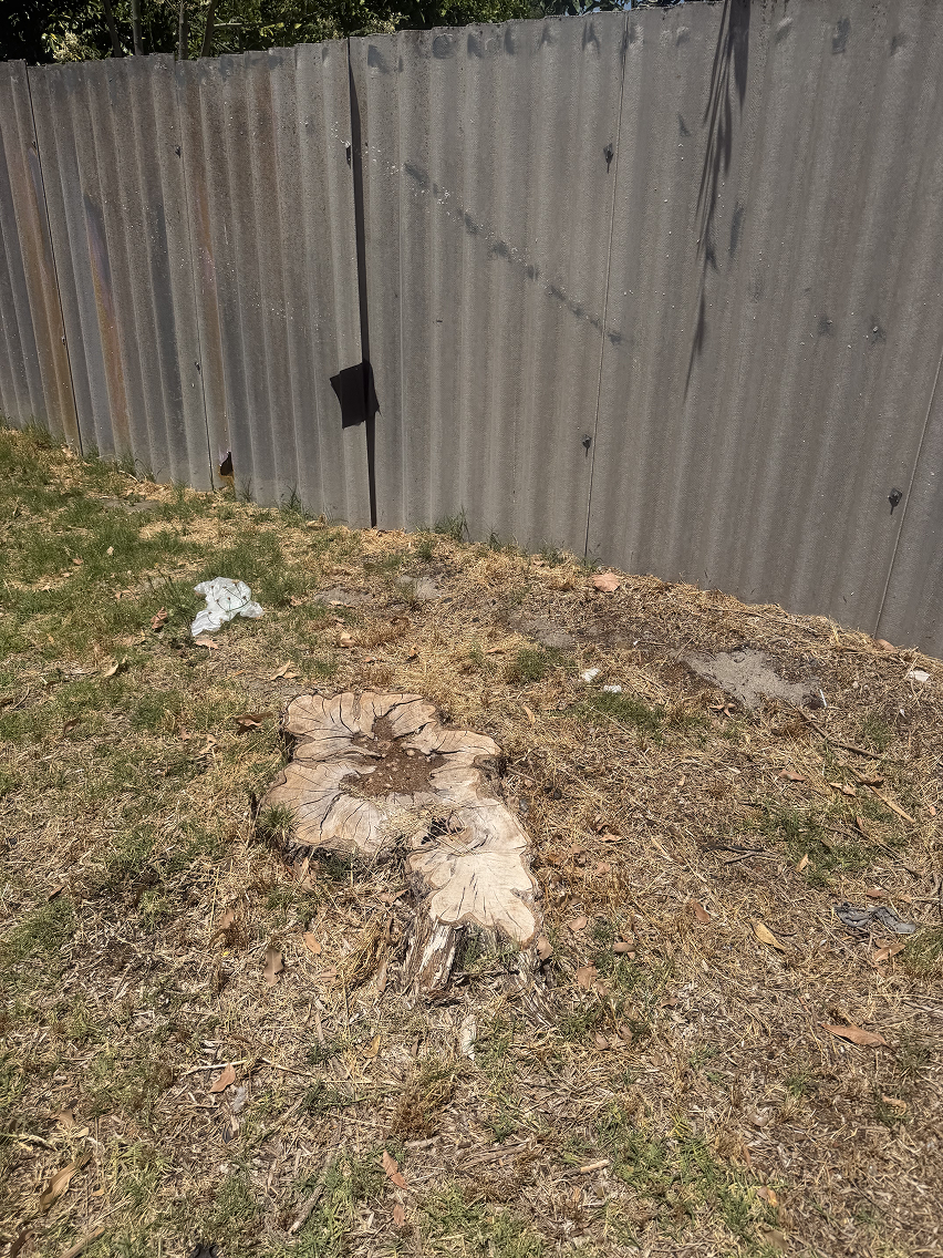 Stump Grinding — professional tree work Perth Hills WA